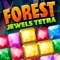 "Forest Jewels Tetra" is a captivating Tetris-style puzzle game with a delightful forest theme