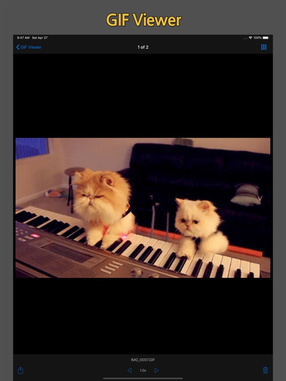 GIF Cracker - GIF to Video iPad screenshot 4 - Photo & Video app