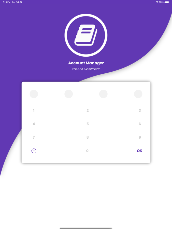 Account Manager - Ledger Book