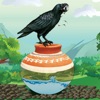 Amazing Crow Sim Bird Games icon