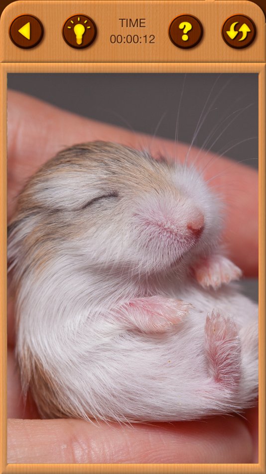 #6. Hamster Jigsaw Puzzle Games (iOS) โดย: Irina Schens
