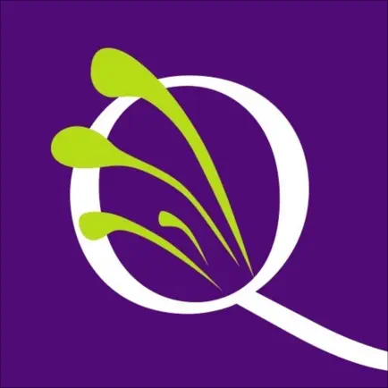 QuiAri Читы