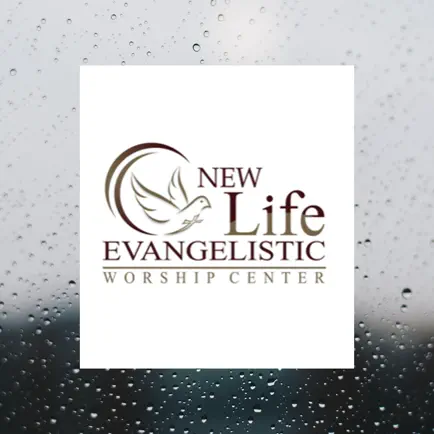 New Life EWC Читы