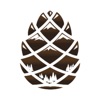 Healing Pines Recovery icon