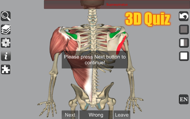 Captura de pantalla d'anatomia 3D