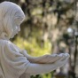 Bonaventure Cemetery Tours app download