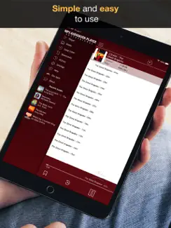 MP3 Audiobook Player Pro iPad image 4