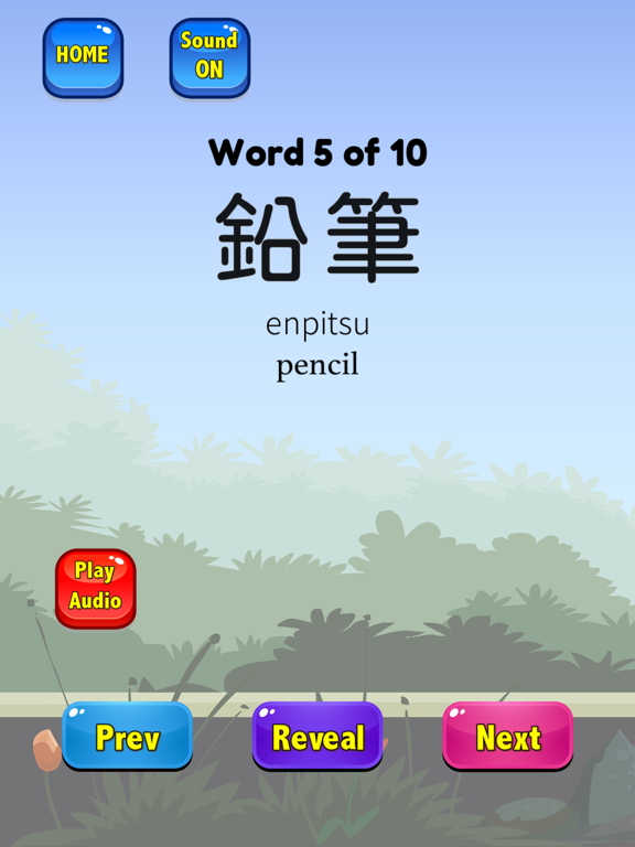 Japanese Flashcards 2025 JLPT iPad screenshot 4 - Education app