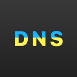Download DNS Client app