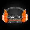 Radio Sondeleg Online