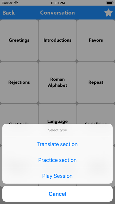 Screenshot 4 of English to Irish Translator App