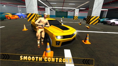 Real Car Parking Dr Parker Sim Screenshot