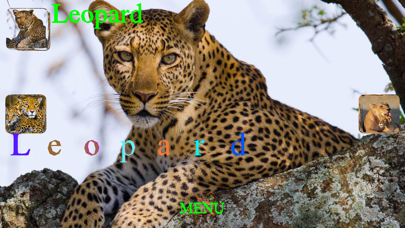 Animal Touch Sounds Screenshot