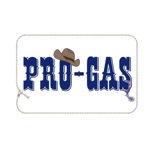 Download Pro Gas 1001 app