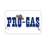 Pro Gas 1001 App Problems