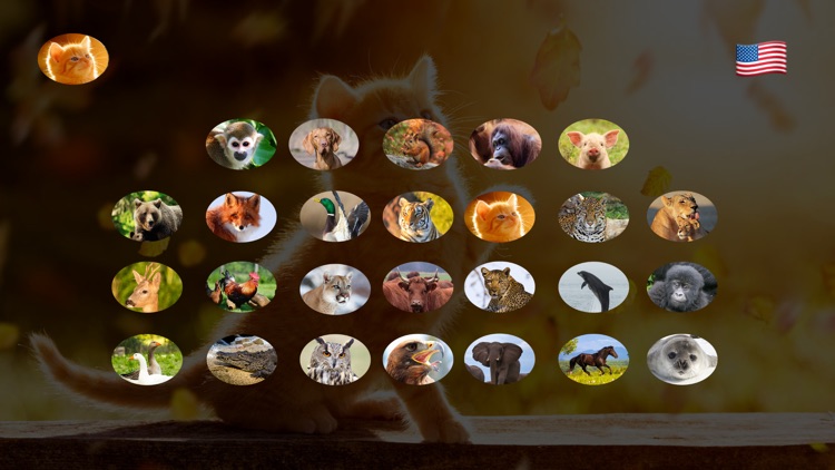 Animal Pad Sounds screenshot-0