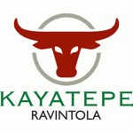 Download Ravintola Kayatepe app