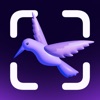 Bird ID: 撮ったら、判る--1秒鳥図鑑 - iPhoneアプリ