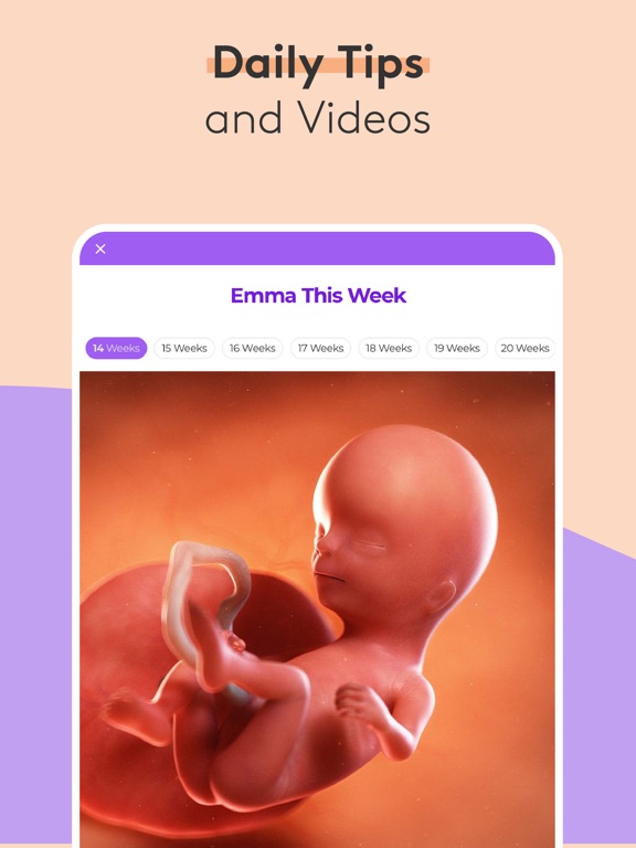 Screenshot #5 pour Pregnancy & Baby Tracker - WTE