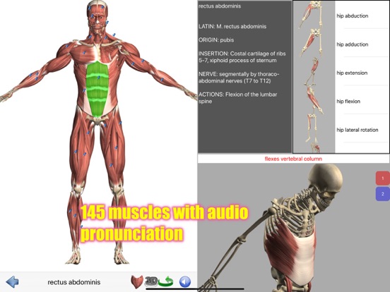 Visual Anatomy iPad app afbeelding 4