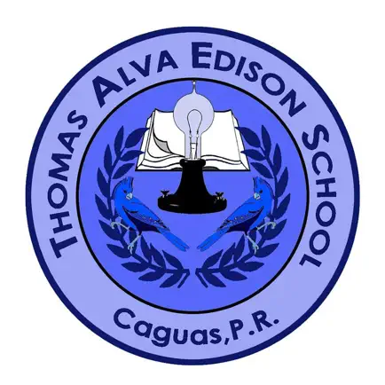 Thomas Alva Edison School. Cheats