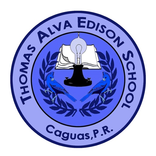 Thomas Alva Edison School. Icon