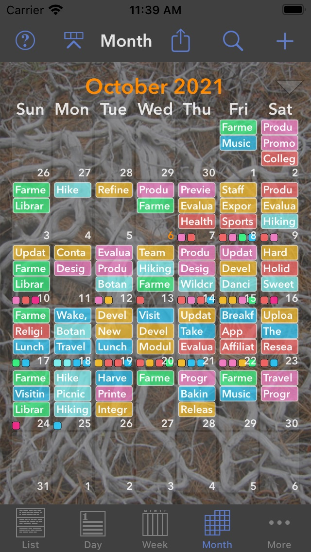 Perspectiva Calendars Charts