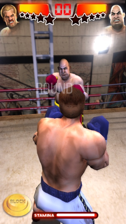 Iron Fist Boxing screenshot-3