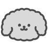 gray poodle sticker icon