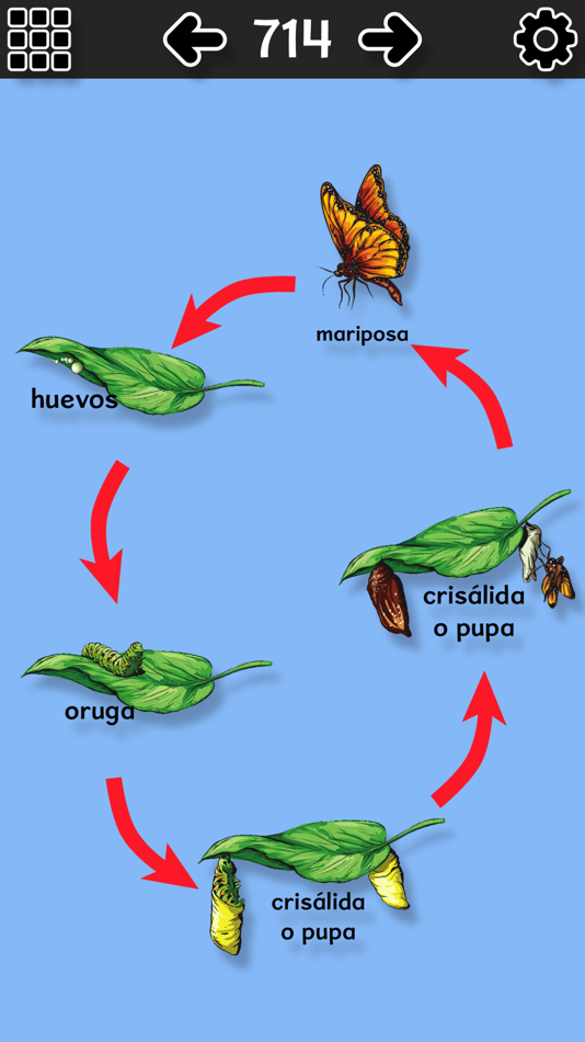 #3. Verbal Me Español (macOS) Av: fishdog.net