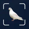 Bird Scanner - 10,000+ Birds Positive Reviews, comments