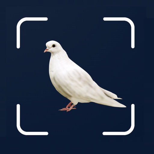 Bird Scanner - 10,000+ Birds iOS App