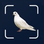 Bird Scanner - 10,000+ Birds app download