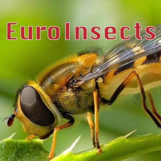 EuroInsects icon