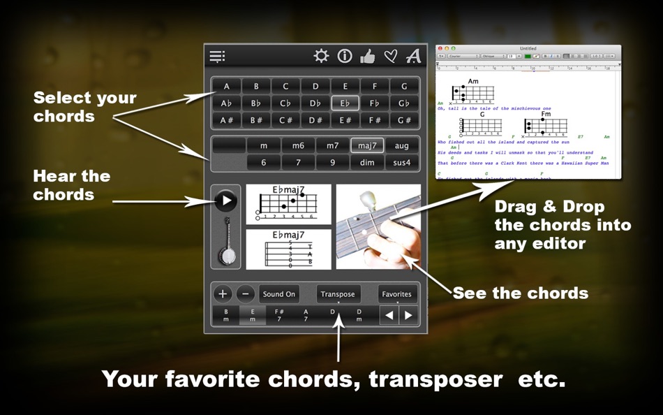 Banjo Chords lite - 1.23 - (macOS)