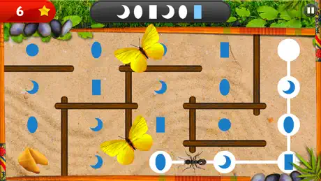 Bugs and Numbers