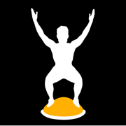 Stark Bosu Ball