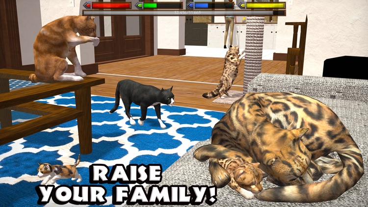 Ultimate Cat Simulator screenshot-3