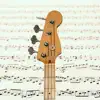 Bass Guitar Notes PRO Positive Reviews, comments