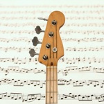 Download Bass Guitar Notes PRO app