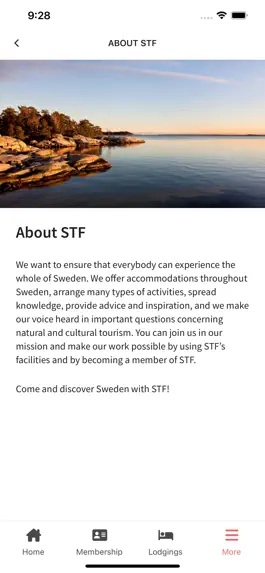 Game screenshot STF hack