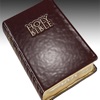 Daily Bible Read icon