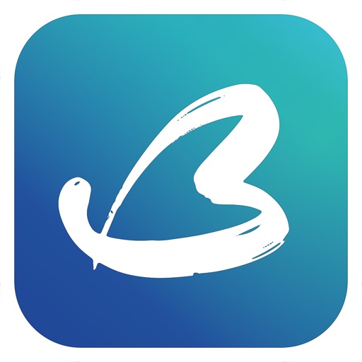 BeCasso: Photo Art Effects Icon