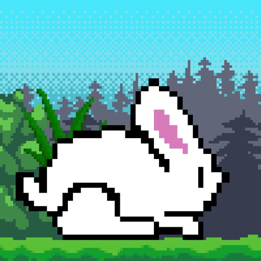 Jolly Bunny Adventure Forever
