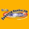 Rádio Sucesso Bambui 103 FM icon