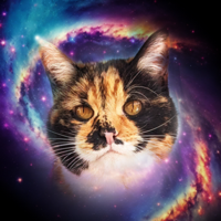 Nebula Tarot Cat
