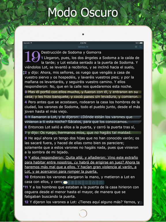 Screenshot #6 pour La Biblia Reina Valera Audio
