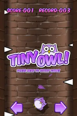 Game screenshot Tiny Owl mod apk