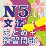 Get N5 文法のまとめ・練習 for iOS, iPhone, iPad Aso Report