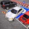 Car Parking Driving School Sim icon